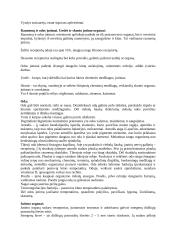 Audiniai. Organai 4 puslapis