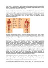 Audiniai. Organai 8 puslapis