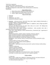 Auklėjamoji teorija ir metodika 11 puslapis