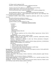 Auklėjamoji teorija ir metodika 12 puslapis