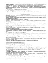 Auklėjamoji teorija ir metodika 13 puslapis