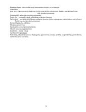 Auklėjamoji teorija ir metodika 14 puslapis