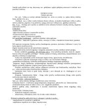 Auklėjamoji teorija ir metodika 7 puslapis