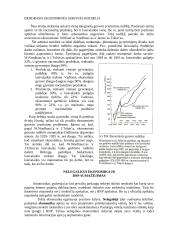Bendras nacionalinis produktas 12 puslapis