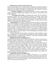 Bendras nacionalinis produktas 4 puslapis