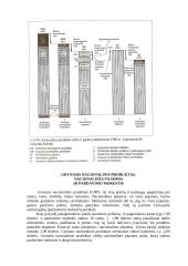 Bendras nacionalinis produktas 7 puslapis