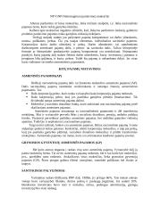 Bendras nacionalinis produktas 8 puslapis