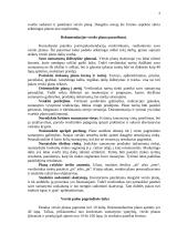 Bendriausi reikalavimai verslo plano formai ir turiniui 2 puslapis