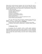 Bendriausi reikalavimai verslo plano formai ir turiniui 11 puslapis