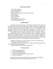 Bendriausi reikalavimai verslo plano formai ir turiniui 3 puslapis