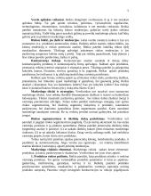 Bendriausi reikalavimai verslo plano formai ir turiniui 5 puslapis