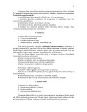 Bendriausi reikalavimai verslo plano formai ir turiniui 8 puslapis