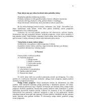 Bendriausi reikalavimai verslo plano formai ir turiniui 9 puslapis