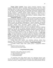 Bendriausi reikalavimai verslo plano formai ir turiniui 10 puslapis