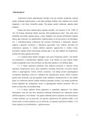 Buhalterinės apskaitos sistemos svarbiausieji elementai 2 puslapis