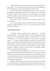 Buhalterinės apskaitos sistemos svarbiausieji elementai 3 puslapis