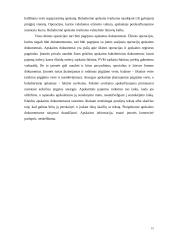 Buhalterinės apskaitos sistemos svarbiausieji elementai 4 puslapis