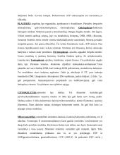 Viskas apie citologiją 4 puslapis