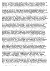 Teorija apie dailininkus 11 puslapis