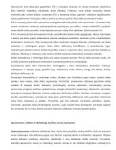 Darbo normavimas pramonėje 17 puslapis