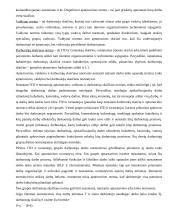 Darbo normavimas pramonėje 18 puslapis