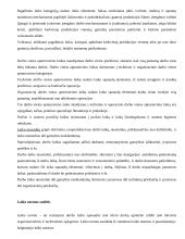 Darbo normavimas pramonėje 6 puslapis