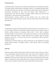 Darbo normavimas pramonėje 9 puslapis