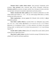 Darbo procesų valdymas 14 puslapis