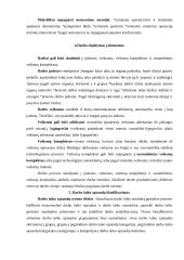 Darbo procesų valdymas 5 puslapis