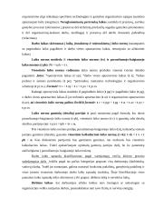 Darbo procesų valdymas 7 puslapis