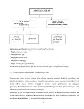 Darbo sauga ir organizavimas 12 puslapis