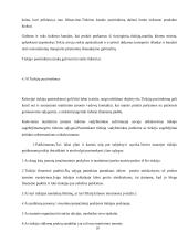 Darbo sauga ir organizavimas 15 puslapis