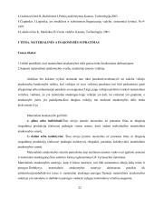 Darbo sauga ir organizavimas 19 puslapis