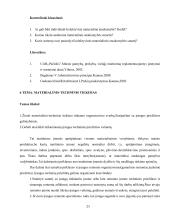 Darbo sauga ir organizavimas 20 puslapis