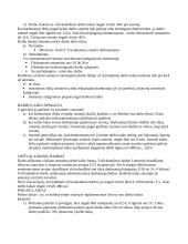 Darbo teisė ir sutartis 2 puslapis