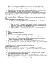 Darbo teisė ir sutartis 4 puslapis