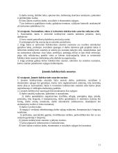 Darbo teisės sąvoka 11 puslapis