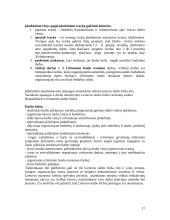 Darbo teisės sąvoka 17 puslapis