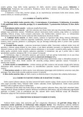 Darbo teisė: darbo teisės sąvoka, principai, subjektai 4 puslapis