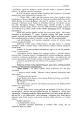 Pagrindiniai darbo teisės egzamino klausimai 13 puslapis