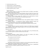 Darbų ir civilinė sauga 12 puslapis