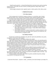 Darbų ir civilinė sauga 13 puslapis