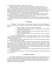 Darbų ir civilinė sauga 14 puslapis