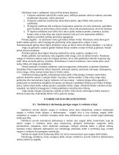 Darbų ir civilinė sauga 15 puslapis