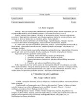 Darbų ir civilinė sauga 3 puslapis