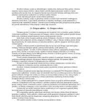 Darbų ir civilinė sauga 4 puslapis