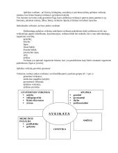 Darbų ir civilinė sauga 5 puslapis