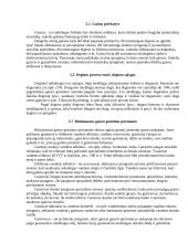 Darbų ir civilinė sauga 10 puslapis