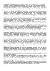 Demokratija ir šiuolaikinės politinės sistemos 13 puslapis