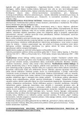 Demokratija ir šiuolaikinės politinės sistemos 20 puslapis